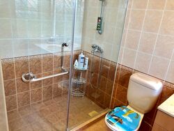 Cairnhill Plaza (D9), Apartment #609082331